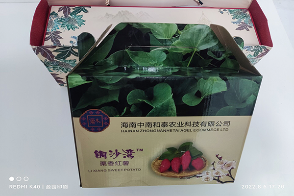 包裝盒a3.png 包裝盒a3.png